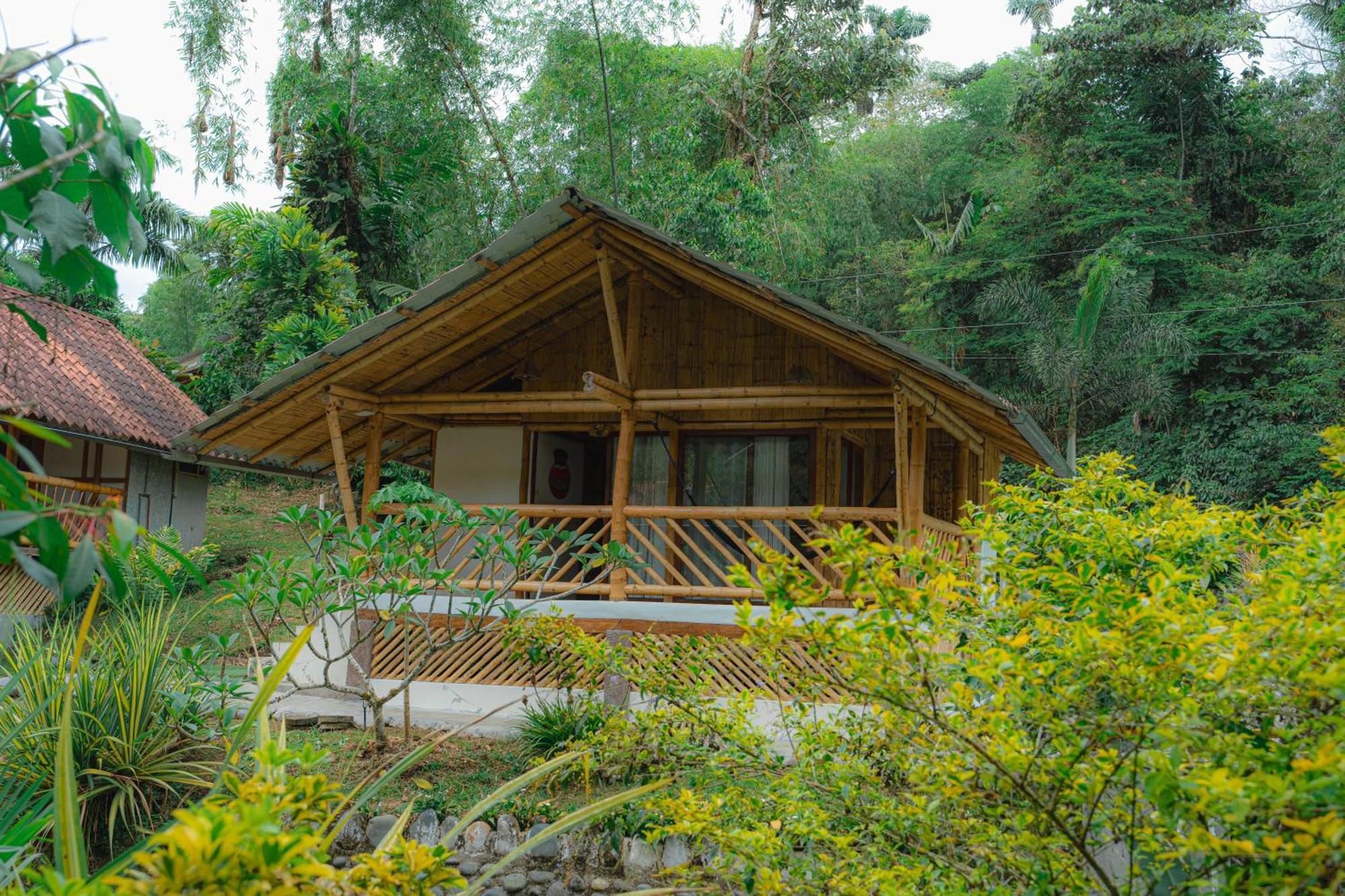 Inn Palmas Puyo