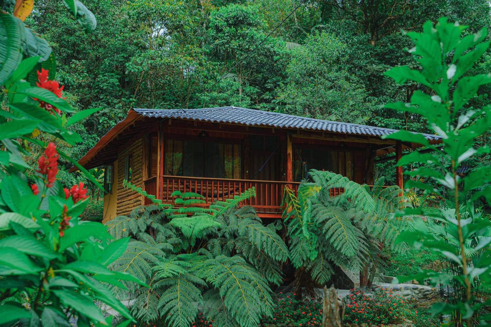 Inn Palmas *