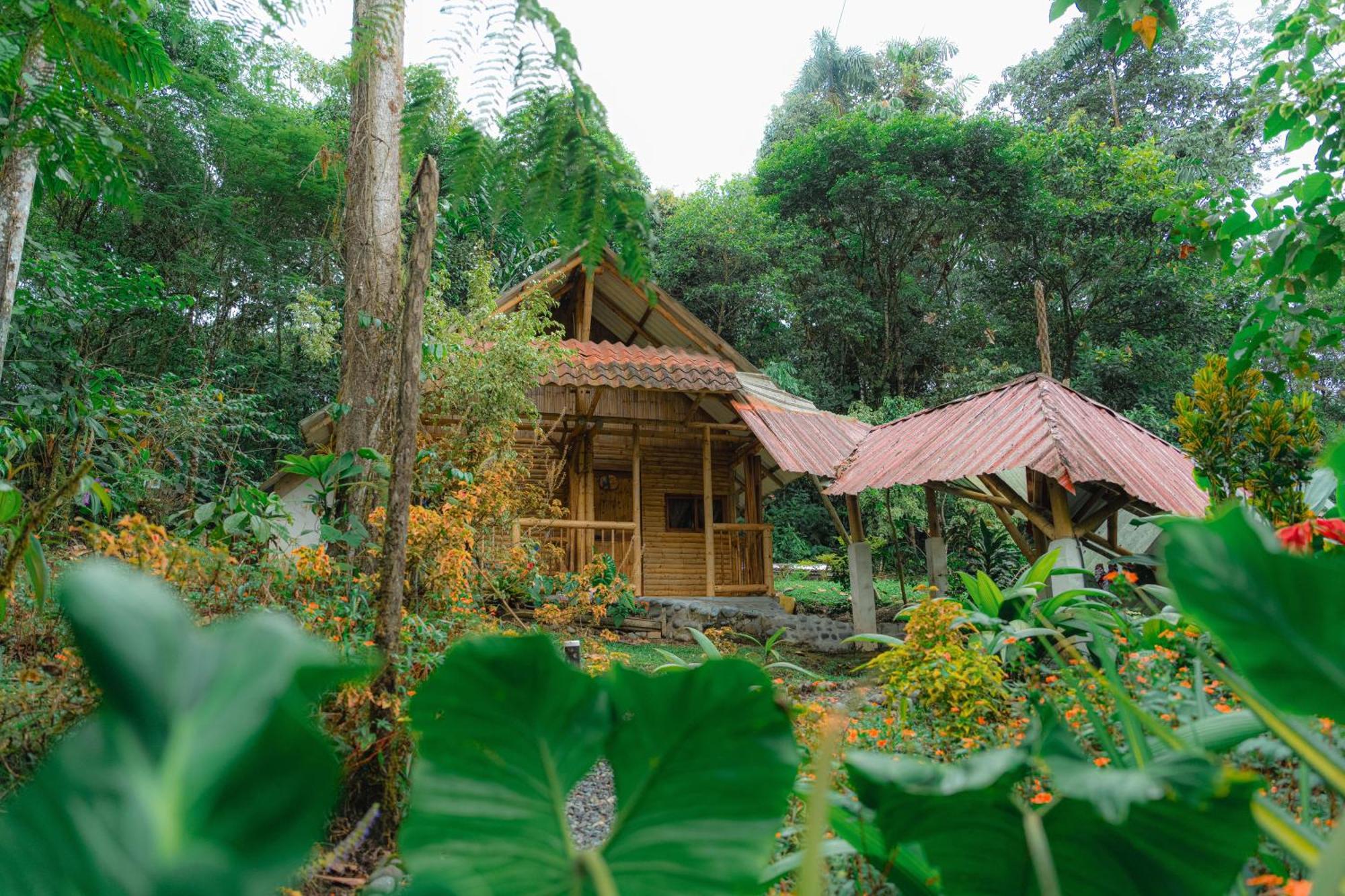 Palmas Inn Puyo