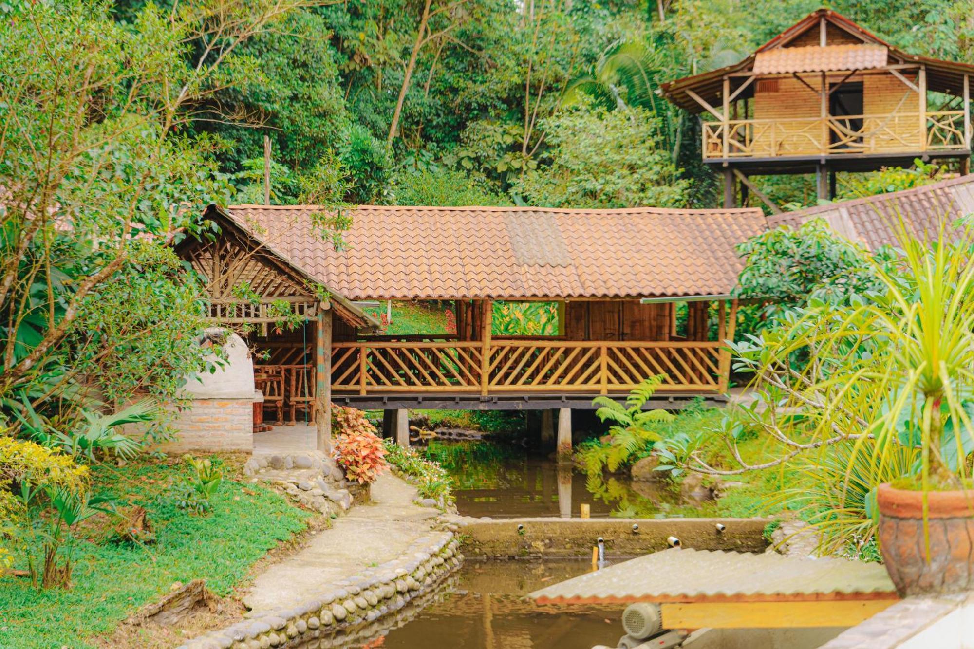 Inn Palmas Puyo
