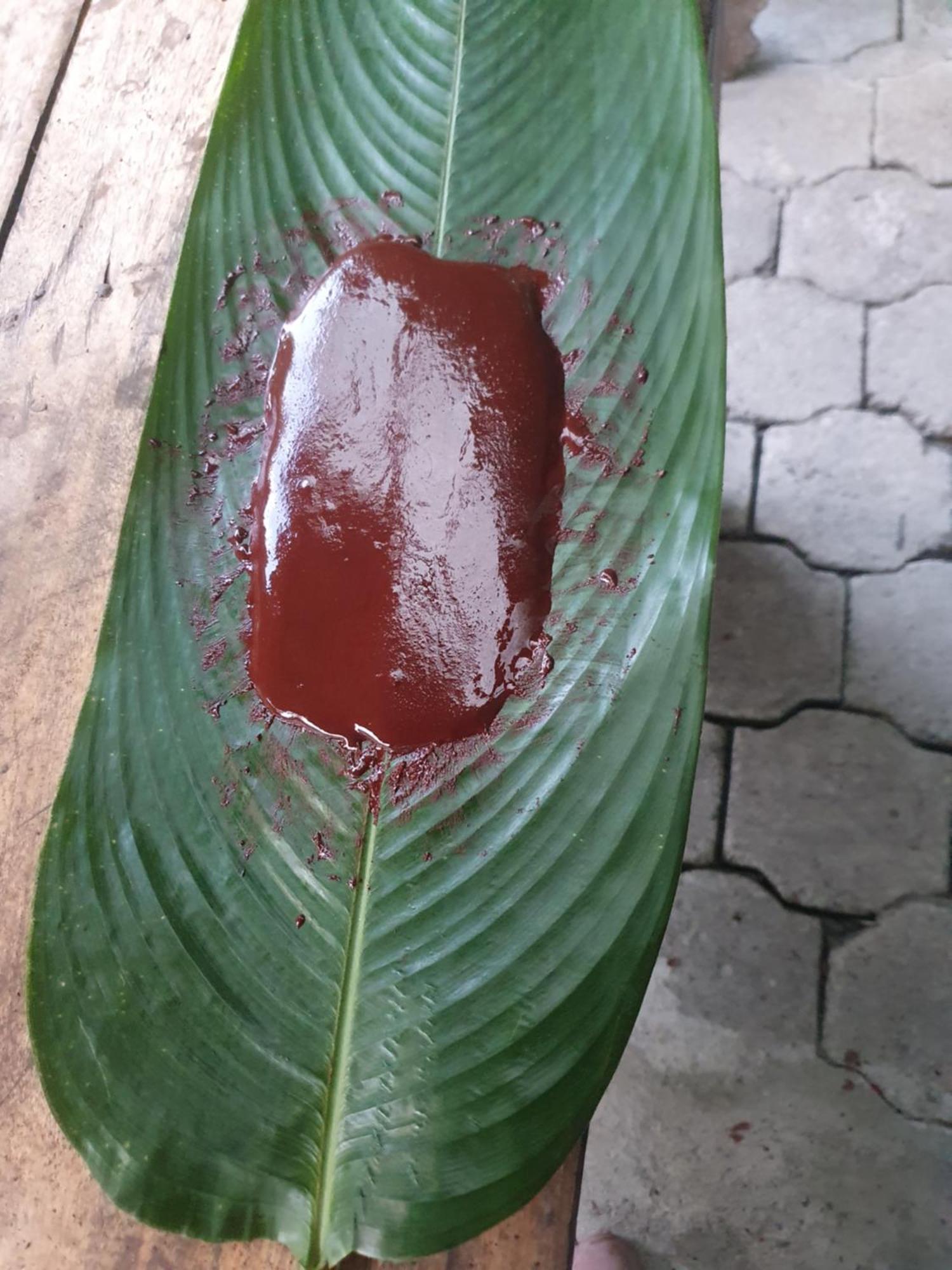 Palmas Puyo